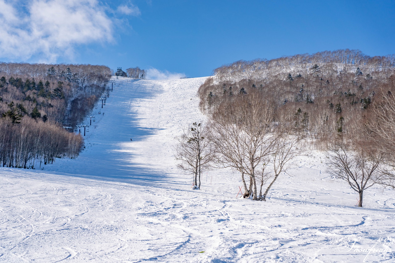 十勝サホロリゾート 快晴の空の下、極上の粉雪クルージングバーンを心ゆくまで味わう１日(*^^*)